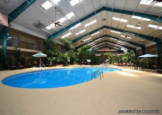 Lamar Rodeway Inn Cow Palace מתקנים תמונה